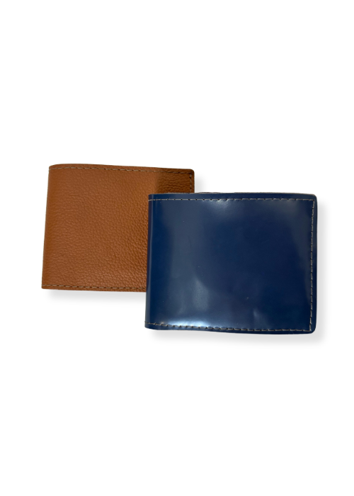 Cartera Interior INE